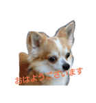 ginn（個別スタンプ：6）