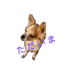ginn2（個別スタンプ：7）