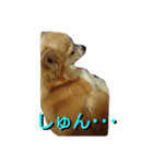 ginn2（個別スタンプ：8）