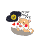 茶柴と黒柴（個別スタンプ：1）