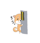 茶柴と黒柴（個別スタンプ：7）