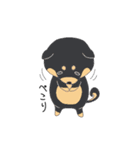 茶柴と黒柴（個別スタンプ：13）