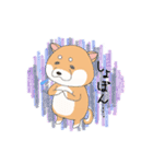 茶柴と黒柴（個別スタンプ：17）