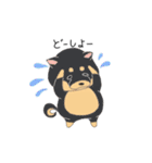 茶柴と黒柴（個別スタンプ：30）