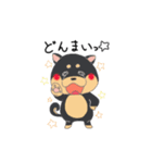 茶柴と黒柴（個別スタンプ：31）