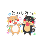 茶柴と黒柴（個別スタンプ：40）