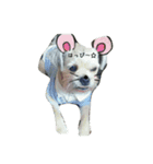 l o v e d o g（個別スタンプ：1）