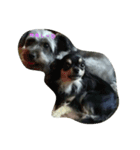l o v e d o g（個別スタンプ：2）