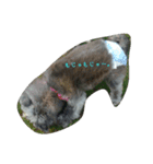 l o v e d o g（個別スタンプ：4）