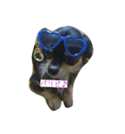 l o v e d o g（個別スタンプ：5）