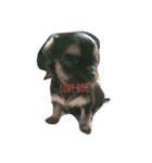 l o v e d o g（個別スタンプ：8）