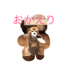 柴犬ゆうクン（個別スタンプ：7）