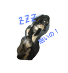 林檎ちゃんち2（個別スタンプ：1）