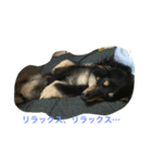 林檎ちゃんち2（個別スタンプ：2）