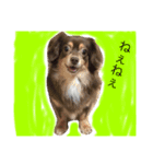 こはるとひより（個別スタンプ：3）