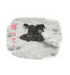 こはるとひより（個別スタンプ：4）
