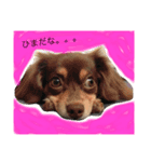 こはるとひより（個別スタンプ：7）