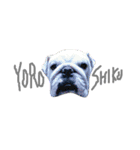 bulldog.and.bosutonteria（個別スタンプ：5）