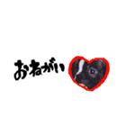 bulldog.and.bosutonteria（個別スタンプ：11）
