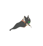bulldog.and.bosutonteria（個別スタンプ：13）