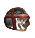 ゴン（個別スタンプ：8）