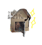 むぎちゃんからのメッセージ（個別スタンプ：15）