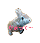 うさぎの日常(^^)（個別スタンプ：4）