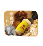 福の毎日シリーズ第2弾！（個別スタンプ：1）