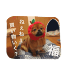 福の毎日シリーズ第2弾！（個別スタンプ：2）
