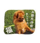 福の毎日シリーズ第2弾！（個別スタンプ：6）
