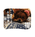 福の毎日シリーズ第2弾！（個別スタンプ：7）