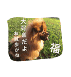 福の毎日シリーズ第2弾！（個別スタンプ：8）