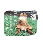 福の毎日シリーズ第2弾！（個別スタンプ：9）