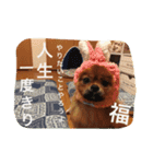 福の毎日シリーズ第2弾！（個別スタンプ：11）
