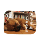 福の毎日シリーズ第2弾！（個別スタンプ：12）