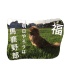 福の毎日シリーズ第2弾！（個別スタンプ：14）