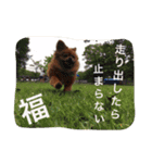 福の毎日シリーズ第2弾！（個別スタンプ：16）