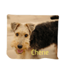 いつでもCherie  (ウェルッシュテリア)（個別スタンプ：3）