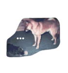 わが家のお犬たち（個別スタンプ：2）
