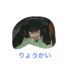 わが家のお犬たち（個別スタンプ：16）