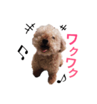 ごいちくんです。（個別スタンプ：15）