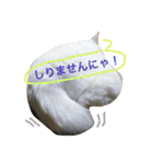 白猫スピカにゃ～！（個別スタンプ：20）