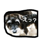 鮪太郎（個別スタンプ：8）