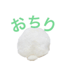 shirorinkurorin（個別スタンプ：38）