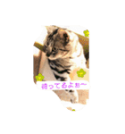 かいつんつん（個別スタンプ：2）
