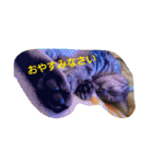 かいつんつん（個別スタンプ：14）