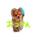 岡本りきちゃん！（個別スタンプ：2）