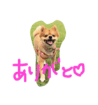 岡本りきちゃん！（個別スタンプ：8）