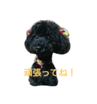 ミントとサラ（個別スタンプ：6）