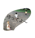 柴犬のひな2017（個別スタンプ：32）